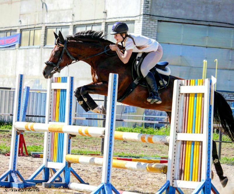 ксения хайруллина конный спорт. игорь самодуровский конный спорт. лошадиная секция. конкур конный спорт. маршруты для конкура с перепрыжкой.